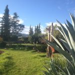 ある冬の朝のスナップat Nectaromeネクタロームビオガーデン