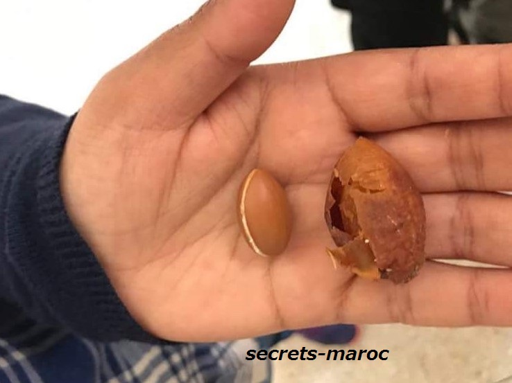 初めて見た 会議のために小走りするモロッコ人男性 Nectarome ネクタローム 新工場訪問記 秘密のモロッコオイルたち Secrets Maroc